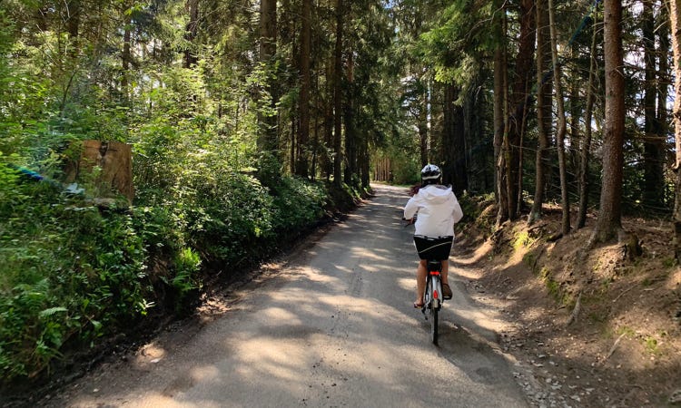 Bike ride around the Lipno Lake