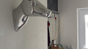 Hall way deer house 36