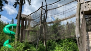 Kindom of the forest at Lipno